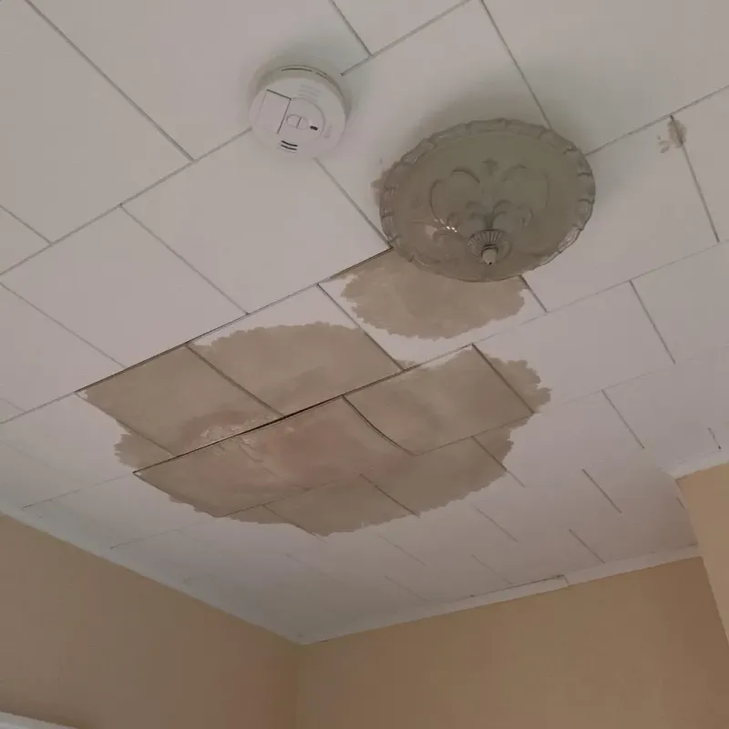 Ceiling Water Damage Repair in Rockport, IN