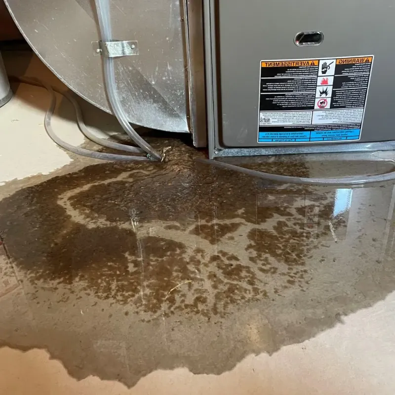 Pipe Burst and Leak Restoration in Rockport, IN