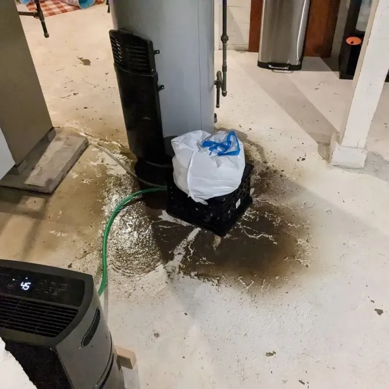 Sewage Backup Cleanup Service in Rockport, IN